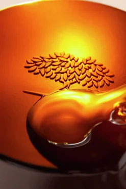 Nuxe Cosmética Facial><noscript><img width=