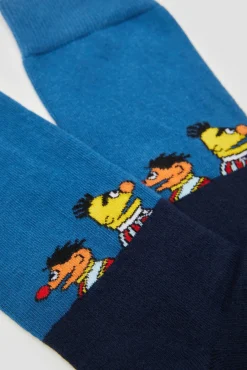 Mujer Besocks Calcetines|Calcetines>Calcetines altos de Barrio Sésamo de algodón orgánico color