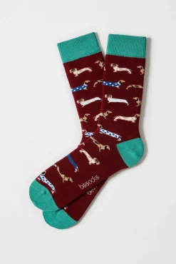 Hombre Besocks Calcetines>Calcetines altos perro salchicha