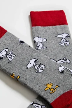 Mujer Besocks Calcetines|Calcetines>Calcetines de hombre altos de algodón orgánico color