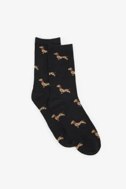 Mujer Cortefiel Calcetines>Calcetín largo teckel