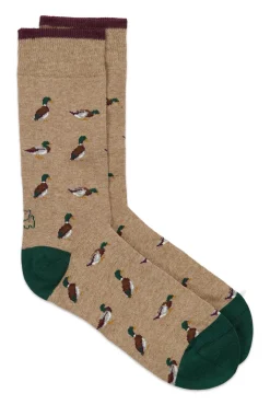 Hombre Kiff-Kiff Calcetines>Calcetín Regular Algodón Caballero