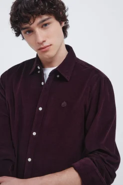 Hombre Springfield Camisas>Camisa micro pana