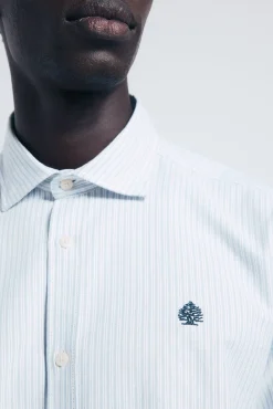 Hombre Springfield Camisas>Camisa oxford ligero rayas