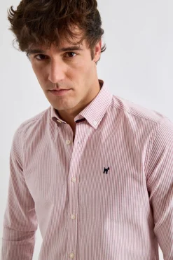 Hombre Williot Camisas>Camisa Raya Oxford