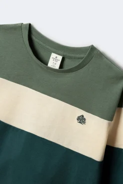 Niños Springfield Kids Camisetas>Camiseta manga larga tricolor niño