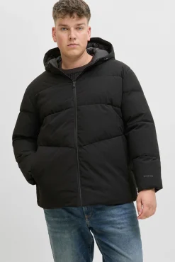 Hombre Jack & Jones PLUS Chaquetas>Chaqueta acolchada hombre