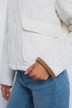 Mujer Springfield Chaquetas>Chaqueta corta acolchada cuello pana