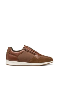 Hombre Geox Zapatillas>Deportiva Avery