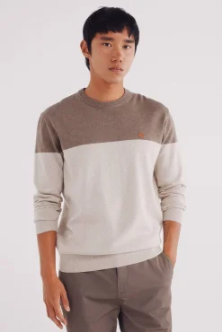 Hombre Springfield Jerséis>Jersey básico bloque color