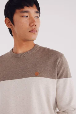 Hombre Springfield Jerséis>Jersey básico bloque color