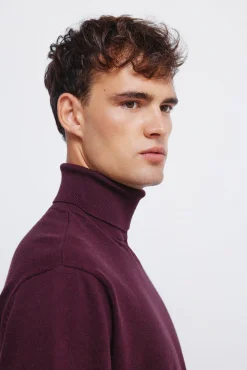 Hombre Springfield Jerséis>Jersey básico cuello alto