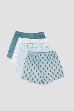 Hombre Springfield Calzoncillos>Pack 5 calzoncillos popelín estampados