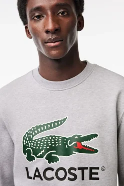 Hombre Lacoste Sudaderas>Sudadera en felpa de algodón de corte clásico
