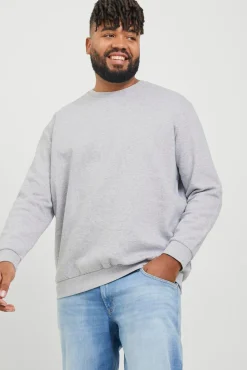 Hombre Jack & Jones PLUS Sudaderas>Sudadera regular fit PLUS