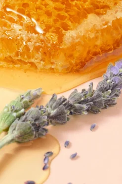 Nuxe Cosmética Facial><noscript><img width=