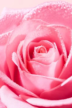 Nuxe Cosmética Facial><noscript><img width=