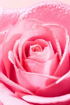 Nuxe Cosmética Facial><noscript><img width=